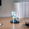 Afbeelding van Kunstplantdecoratie - orchidee - 11 x 18 cm - 4 soorten 1 Stuks [11845] - 03 11845 web