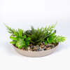 Afbeelding van Kunstplant decoratie - schaal - 15 x 10 cm - 3 soorten 1 Stuks [11852] - 03 11852 web