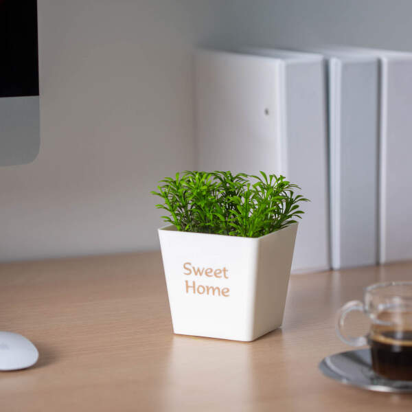 Afbeelding van Kunstplantendecoratie - bloempot - 10 x 16 cm - 3 soorten 1 Stuks [11862] - 03 11862 web