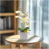 Afbeelding van Kunstplantdecoratie – orchidee – 3 soorten – 37 cm 1 Stuks [11902] - 03 11902 web
