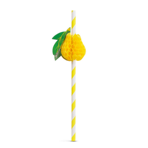 Afbeelding van Papieren rietje - 3D fruit - 197 x 6 mm - 12 stuks / verpakking 1 Stuks [57603B] - 03 57603B web