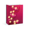 Afbeelding van Cadeauzakje - 10 warmwitte LED's, papier - 265 x 127 x 330 mm - 4 soorten / verpakking 12 Stuks [58322]