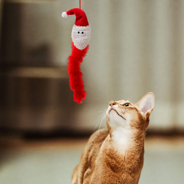 Afbeelding van Kerstkatten speelgoed - 2 soorten 1 Stuks [58648] - 03 58648 web
