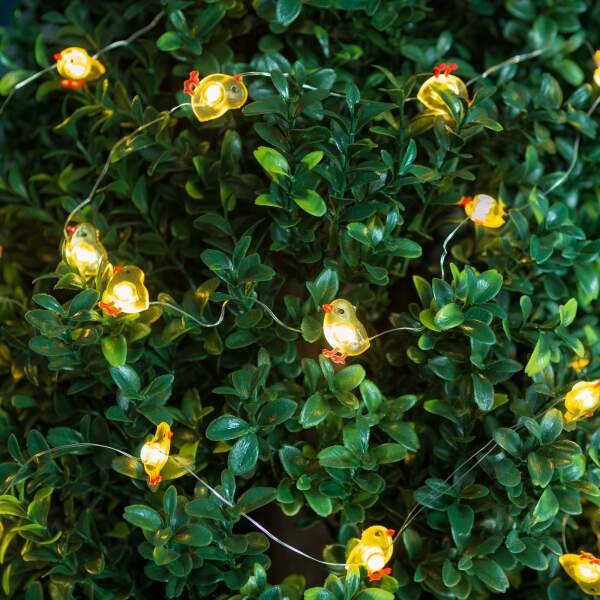 Afbeelding van LED lichtsnoer - kip - 2 m - 20 LED - 2 x AA 1 Stuks [58923A] - 03 58923A web