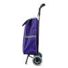 Afbeelding van Uittrekbare boodschappentas met wielen - 5 kleuren - 100 x 36 x 25 cm - polyester - max. 30 kg 1 Stuks