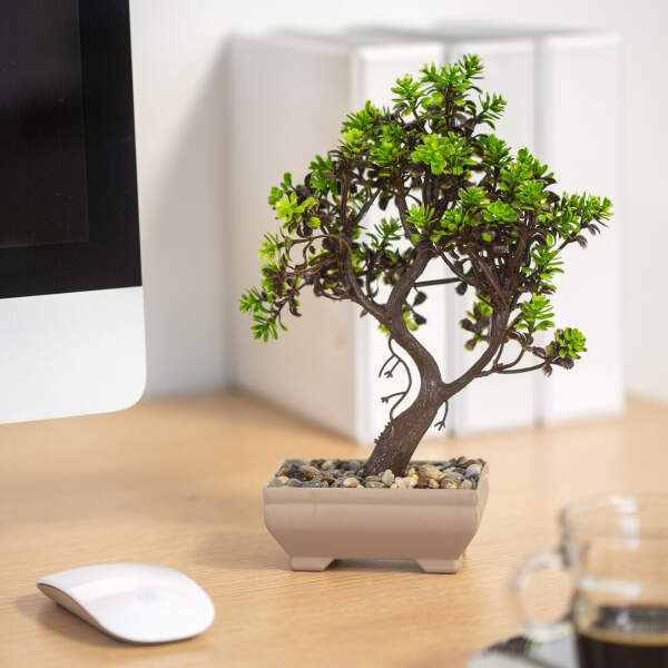 Afbeelding van Kunstplant decoratie - bonsai - 18 x 24 cm - 4 soorten 1 Stuks [11834] - 04 11834 web