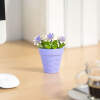 Afbeelding van Kunstplantdecoratie - in pot - 6 x 10 cm - 5 soorten 1 Stuks [11836] - 04 11836 web