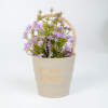 Afbeelding van Kunstplant decoratie - bloem - 11 x 18 cm - 4 soorten 1 Stuks [11842] - 04 11842 web