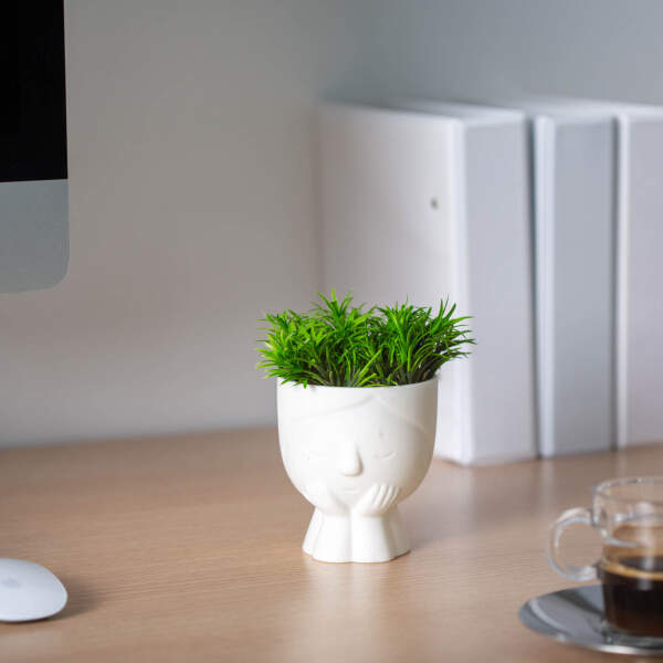 Afbeelding van Kunstmatige plantendecoratie - mensenhoofd - 9 x 14 cm - 4 soorten 1 Stuks [11850] - 04 11850 web