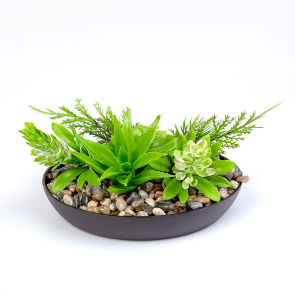 Afbeelding van Kunstplant decoratie - schaal - 15 x 10 cm - 3 soorten 1 Stuks [11852] - 04 11852 web