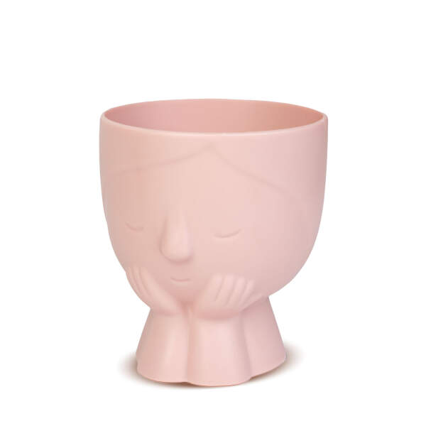Afbeelding van Bloempotdecoratie - gezicht - 9 x 10 cm - 5 soorten 1 Stuks [11873] - 04 11873 web