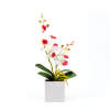 Afbeelding van Kunstplantdecoratie – orchidee – 3 soorten – 37 cm 1 Stuks [11902] - 04 11902 web
