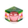 Afbeelding van Geurkaars - Lotusbloem - 70 g 1 Stuks [58804C] - 04 58804C web