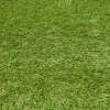 Afbeelding van Kunstgras - 2 m x 25 m - 40 mm poolhoogte - Eden Cheer 2 Stuks [11790F] - 05 11790F web