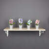 Afbeelding van Kunstplantdecoratie - in pot - 6 x 17 cm - 4 soorten 1 Stuks [11829] - 05 11829 web