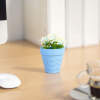 Afbeelding van Kunstplantdecoratie - in pot - 6 x 10 cm - 5 soorten 1 Stuks [11836] - 05 11836 web