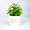 Afbeelding van Kunstplant decoratie - bloem - 11 x 18 cm - 4 soorten 1 Stuks [11842] - 05 11842 web