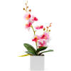 Afbeelding van Kunstplantdecoratie – orchidee – 3 soorten – 37 cm 1 Stuks [11902] - 05 11902 web