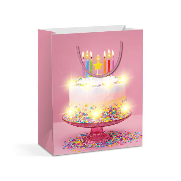 Afbeelding van Cadeauzakje - 10 warmwitte LED's, papier - 265 x 127 x 330 mm - 4 soorten / verpakking - 12 stuks /