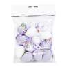 Afbeelding van Paasdecoratie - eierset - 2 soorten - 4 cm - 12 stuks / verpakking 1 Stuks [CMK-6005] - 05 CMK 6005 web