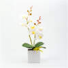 Afbeelding van Kunstplantdecoratie – orchidee – 3 soorten – 37 cm 1 Stuks [11902] - 06 11902 web