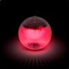 Afbeelding van PHENOM LIGHTING TECHNOLOGY - Zwembadlamp Verlichting op Zonne Energie - Solar Disco Lamp - Onderwater