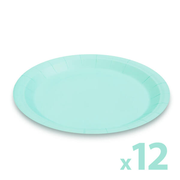 Afbeelding van Kartonnen Bordjes Blauw 23cm 12 stuks - Wegwerp borden - Feest/Verjaardag/BBQ borden / Gebak Bordjes -