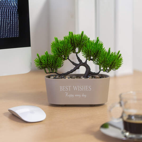 Afbeelding van Kleine Kunstplant met Pot - Bonsai - 20 x 9 cm - Kunstplanten voor Binnen - 5776 5162 459a 9894 e1aeeb4638a7