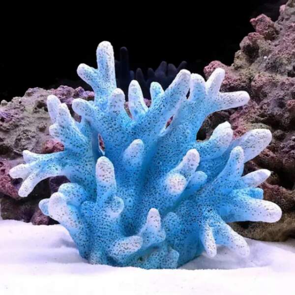 Afbeelding van Aquarium Decoratie - Ornamenten - 1 Stuk - Blauw Koraal Rif - 17x8x14cm Groot - 836a beec 41be 95cf