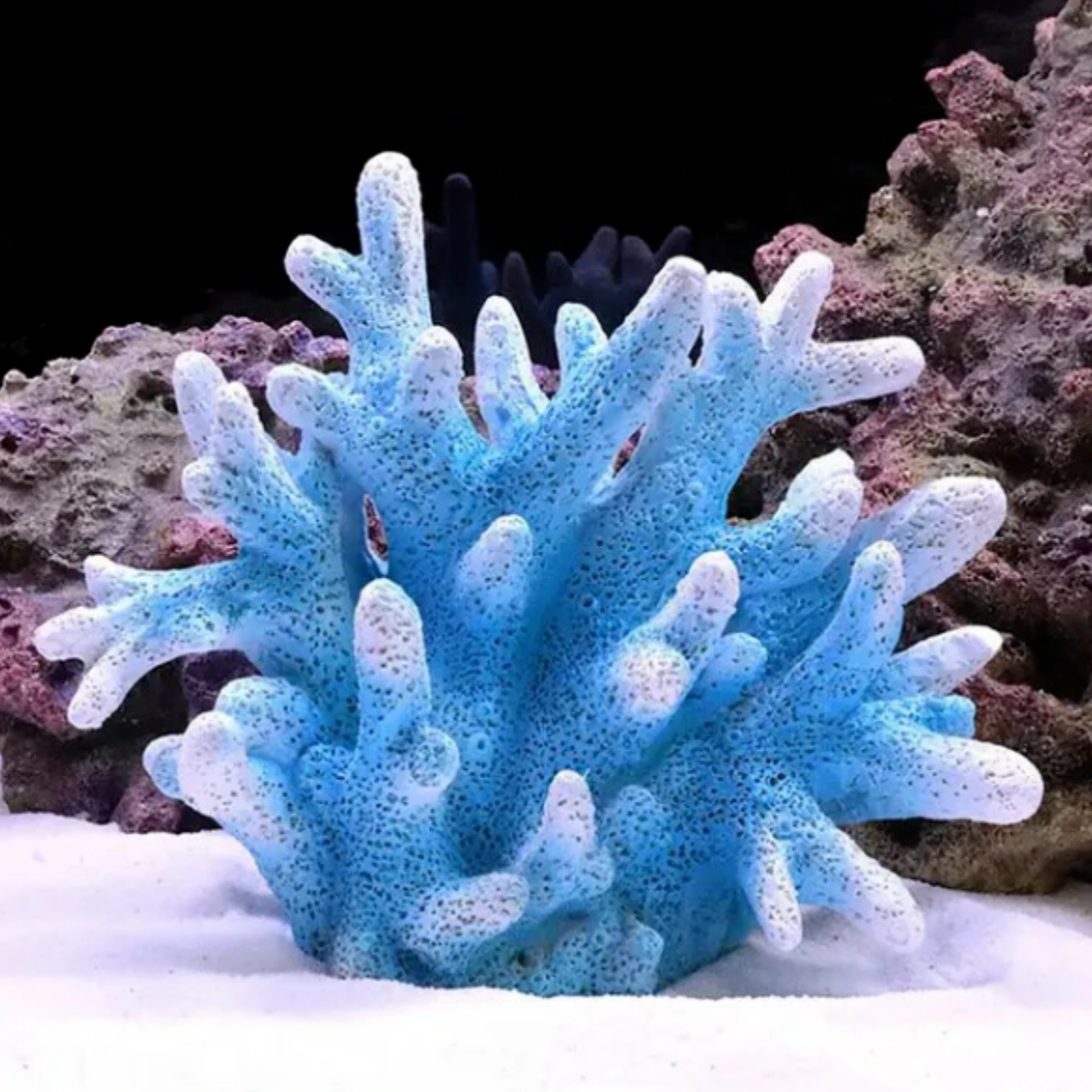 Afbeelding van Aquarium Decoratie - Ornamenten - 1 Stuk - Blauw Koraal Rif - 17x8x14cm Groot - 836a beec 41be 95cf