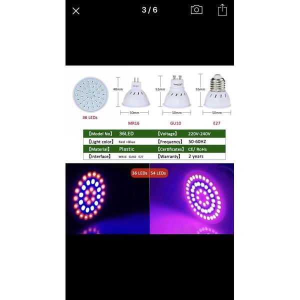 Afbeelding van LED Groei Lamp E27 met 54 leds - KWEEK LED Lamp - Voor Groei en Bloei - Groeilamp Set van 3 Stuks - 8d9b a281