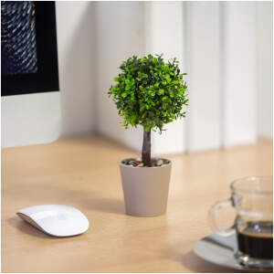 Afbeelding van Kleine Kunstplant met Pot - Boompje - Ø8 x 18 cm - Kunstplanten voor Binnen - a1e9 3b29 41a1 96c1