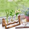 Afbeelding van Planten Vaasjes Terrarium Stekjes - Houder van hout met glas - Hydrocultuur Bolvaasjes Standaard Plantenrek -