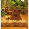 Afbeelding van Aquarium Decoratie - Ornamenten - Set van 3 - Pyramide - Egypte - Sfinx - Woestijn - f8c2 571d 4465 8948