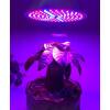Afbeelding van LED Groei Lamp E27 met 54 leds - KWEEK LED Lamp - Voor Groei en Bloei - Groeilamp Set van 3 Stuks - ffbc 11f1