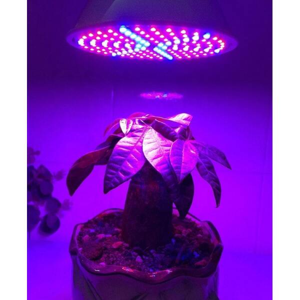 Afbeelding van LED Groei Lamp E27 met 54 leds - KWEEK LED Lamp - Voor Groei en Bloei - Groeilamp Set van 3 Stuks - ffbc 11f1