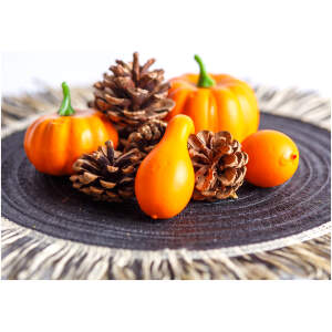 Afbeelding van Herfstdecoratie - pompoen- en kegelset - 9 stuks - 5-7 cm 1 Stuks [59004] - 01 59004 web