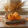 Afbeelding van Herfstdecoratie - pompoenset - clip-on - oranje - 3 stuks / verpakking 1 Stuks [59038] - 01 59038 web