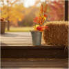 Afbeelding van Herfstdecoratie - tak met bessen - 2 soorten - 62 cm 1 Stuks [59039] - 01 59039 web