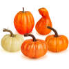 Afbeelding van Herfstdecoratie - pompoen - 6 soorten - kunststof 1 Stuks [59013] - 02 59013 web