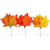 Afbeelding van Herfstdecoratie - bladeren - 28 cm - 9 stuks / verpakking 1 Stuks [59023] - 02 59023 web