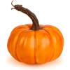 Afbeelding van Herfstdecoratie - pompoen - 6 soorten - kunststof 1 Stuks [59013] - 04 59013 web