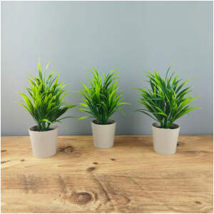 Afbeelding van Kleine Kunstplant met Pot - Ø10 x 19 cm - Kunstplanten voor Binnen - 21d0 e615 4a38 8f90 36d7974db8c1