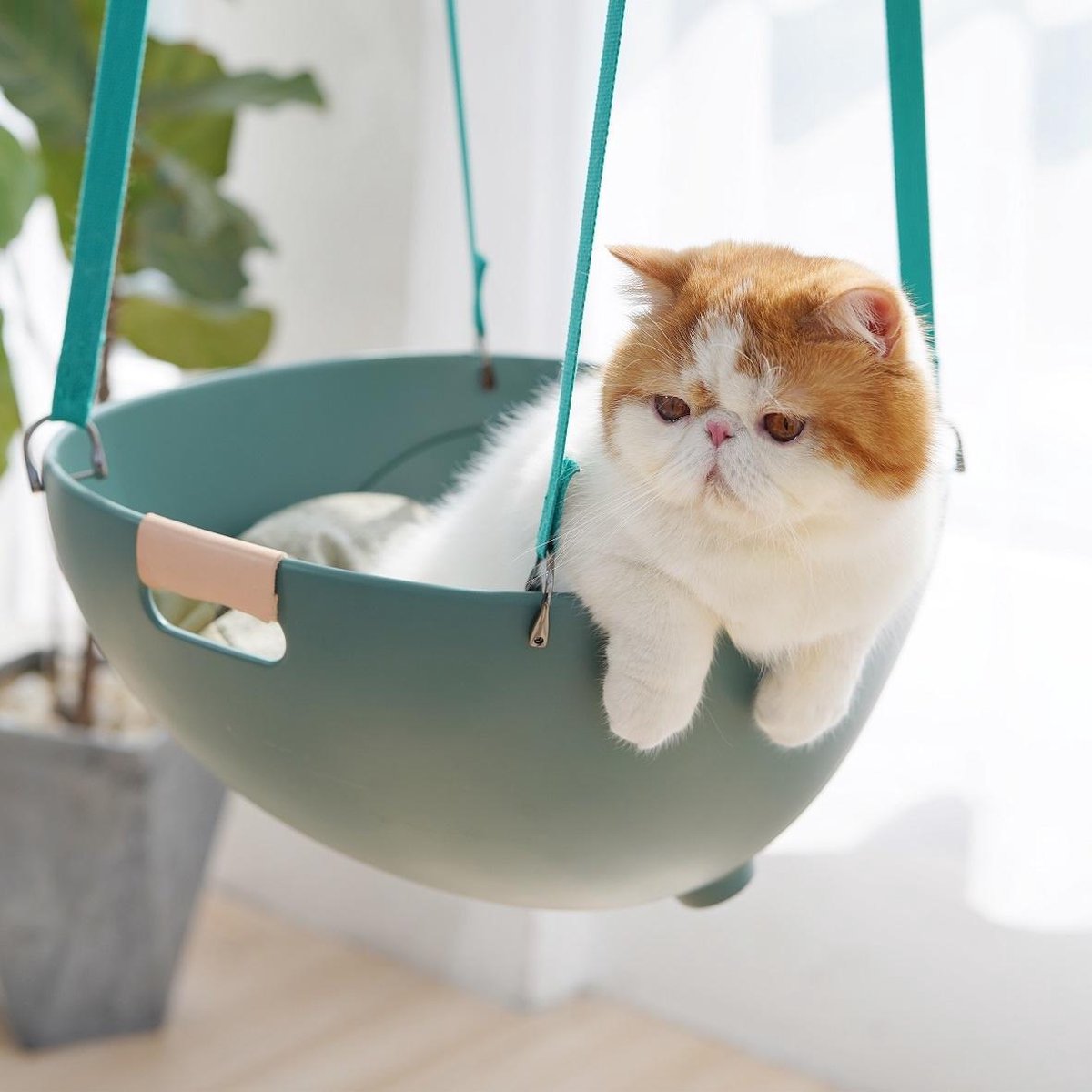 Afbeelding van MS Duku Cat Nest - Kattenmanden - Kattenmand - Comfortabel Kattenbed – Katten Mand - Esthetisch Ontwerp -