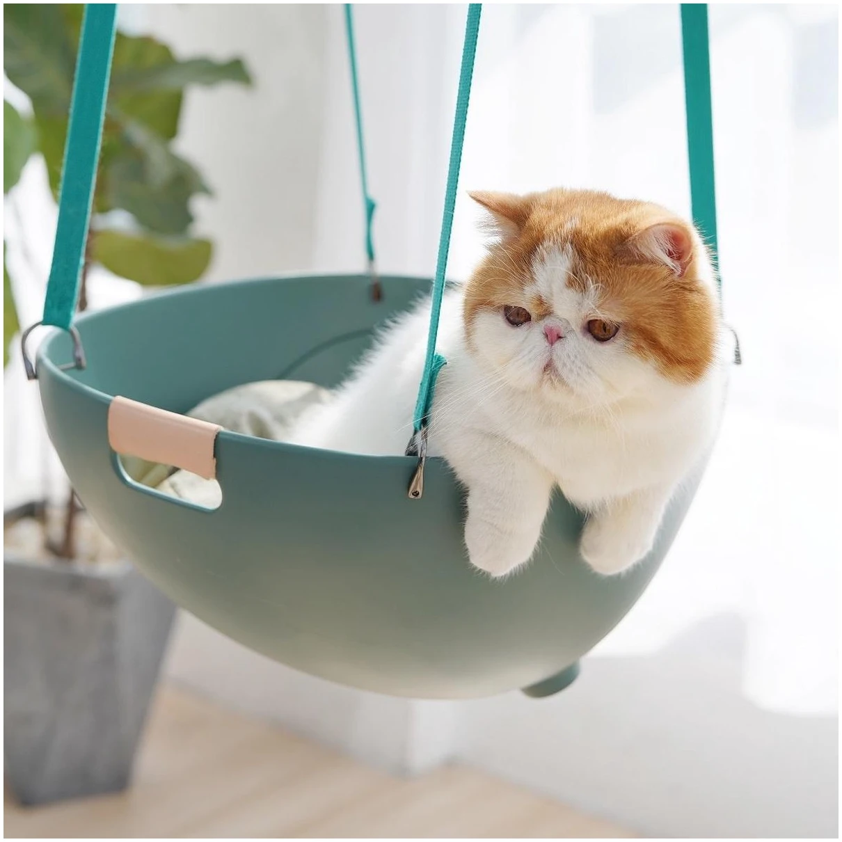Afbeelding van MS Duku Cat Nest - Kattenmanden - Kattenmand - Comfortabel Kattenbed – Katten Mand - Esthetisch Ontwerp -