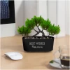 Afbeelding van Kleine Kunstplant met Pot - Bonsai - 20 x 9 cm - Kunstplanten voor Binnen - 482c 9267 43ca a935 5995dcaea532