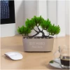 Afbeelding van Kleine Kunstplant met Pot - Bonsai - 20 x 9 cm - Kunstplanten voor Binnen - 5776 5162 459a 9894 e1aeeb4638a7
