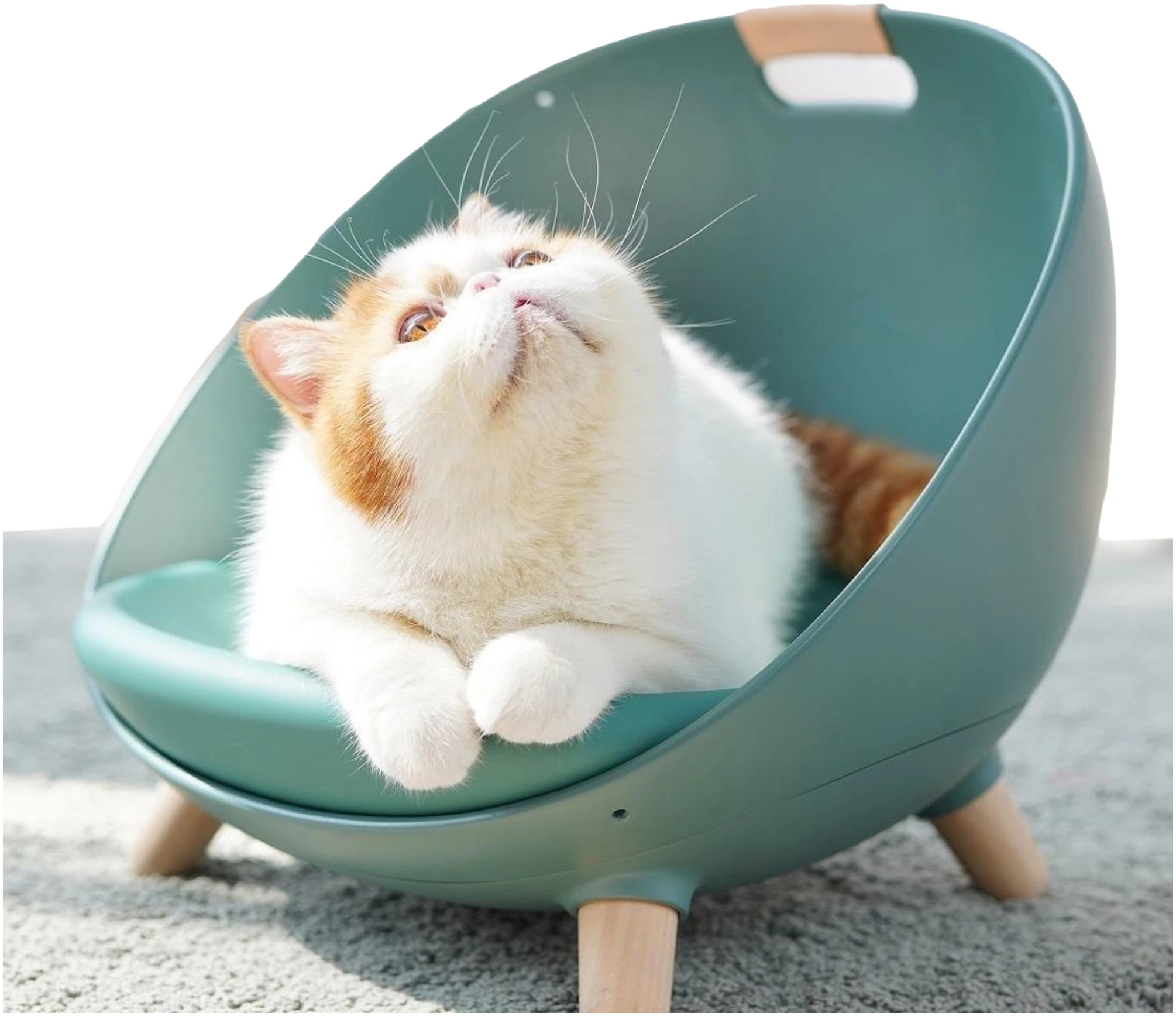 Afbeelding van MS Duku Cat Nest - Kattenmanden - Kattenmand - Comfortabel Kattenbed – Katten Mand - Esthetisch Ontwerp -