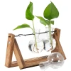 Afbeelding van Planten Vaasjes Terrarium Stekjes - Houder van hout met glas - Hydrocultuur Bolvaasjes Standaard Plantenrek -