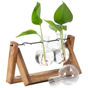 Afbeelding van Planten Vaasjes Terrarium Stekjes - Houder van hout met glas - Hydrocultuur Bolvaasjes Standaard Plantenrek -